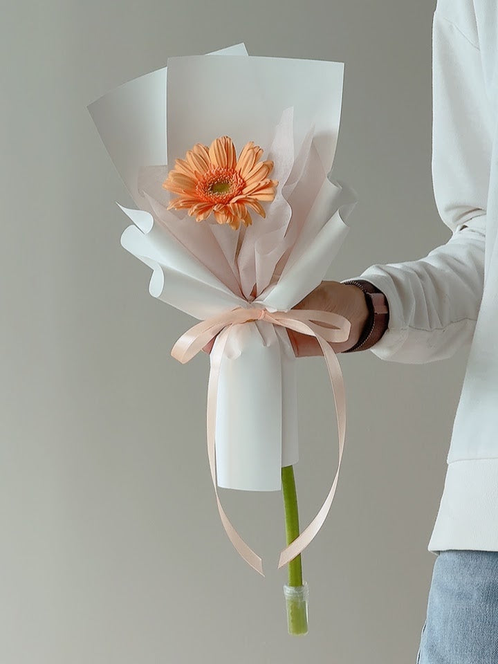 Single Gerbera Bloom by CC Flora
