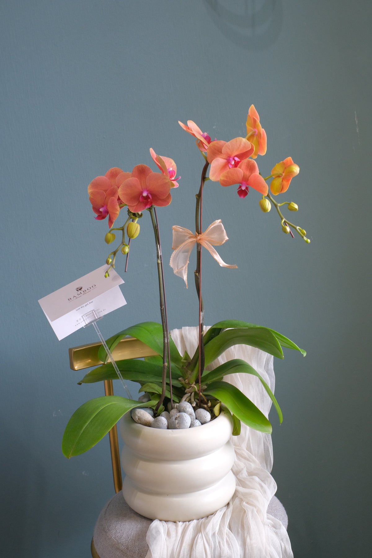 Phalaenopsis- Jinju Orange Orchid Pot by Bamboo Green Florist, Penang, photo 6
