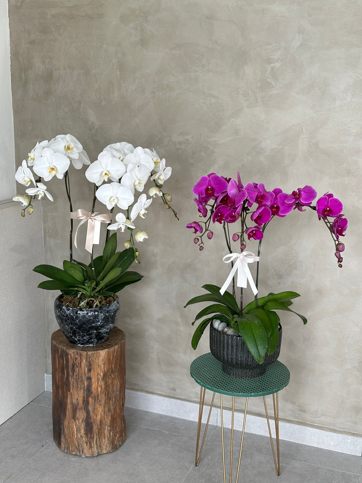 Love Being Your'chid - White Phalaenopsis Orchid by Bamboo Green Florist, Penang, photo 2