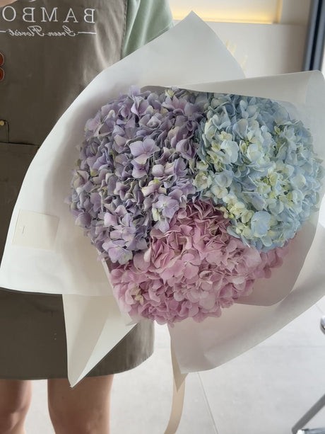 Hydrangea En Masse by Bamboo Green Florist