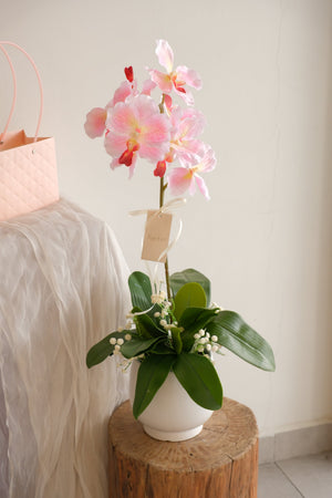 Minari Orchid Pot by Bamboo Green Florist, Penang, photo 2