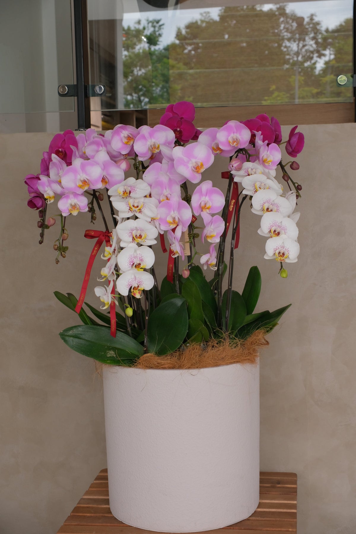 Mixed Phalaenopsis Orchids - Torres by Bamboo Green Florist, Penang, photo 7