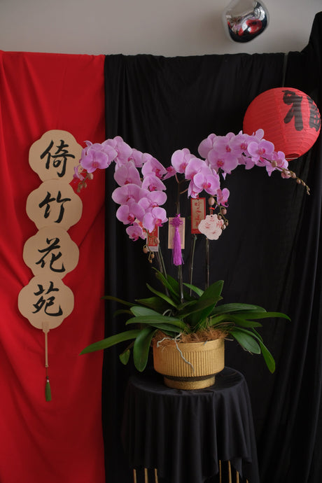 Opulent Phalaenopsis Orchid - Light Purple by Bamboo Green Florist, Penang, photo 11