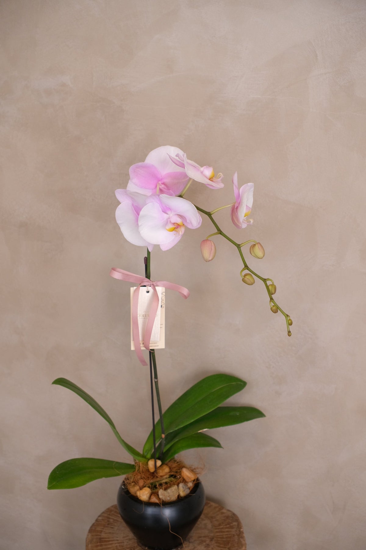 Love Being Your'chid- Blush Purple Bouquet by Bamboo Green Florist, Penang, photo 7