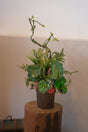 Rawson Grand Opening Flowers by Bamboo Green Florist, Penang