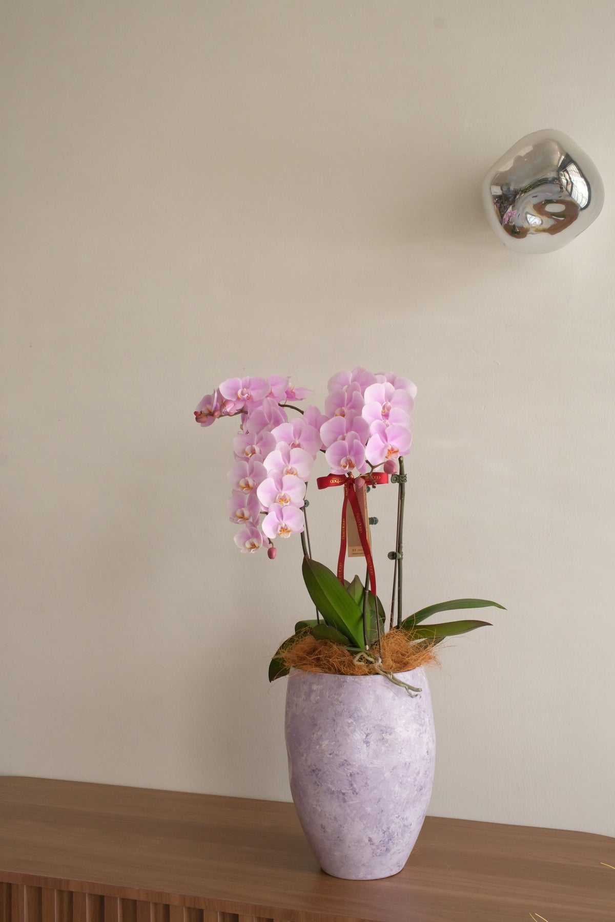 Fresh Lumière Phalaenopsis Orchids by Bamboo Green Florist, Penang, photo 3
