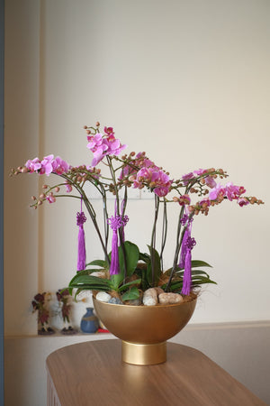 Midi Orchids - Baby Grand by Bamboo Green Florist, Penang, photo 2