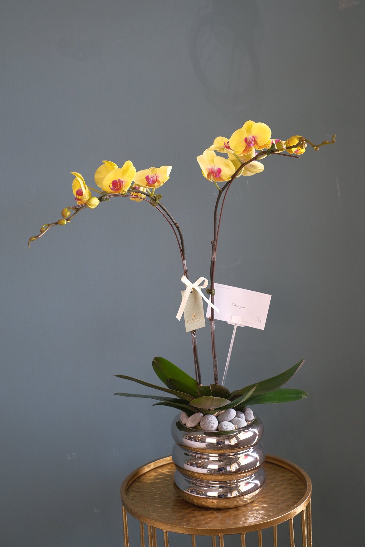 Yellow! Orchid Pot by Bamboo Green Florist, Penang, photo 2