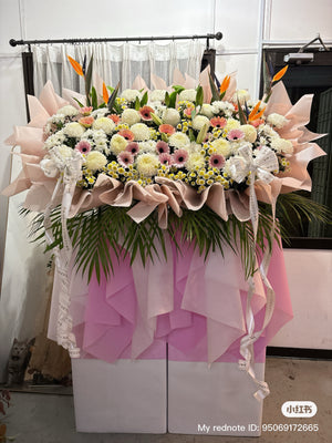 Muted Tulipan