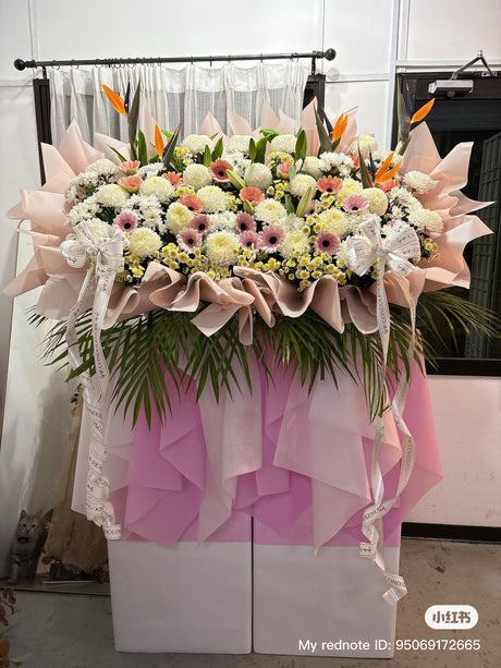 Muted Tulipan