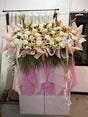 Muted Tulipan