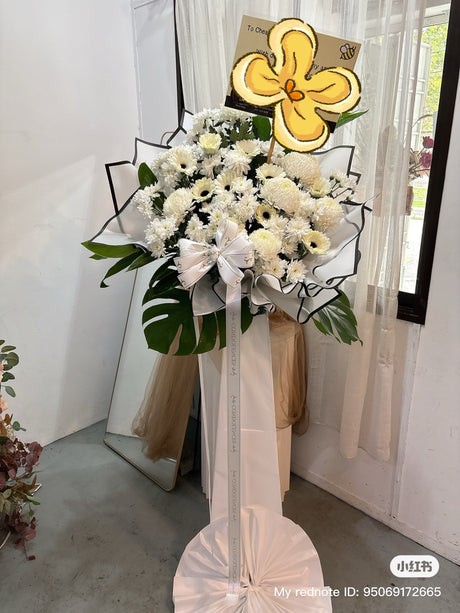 Glossy Philodendron