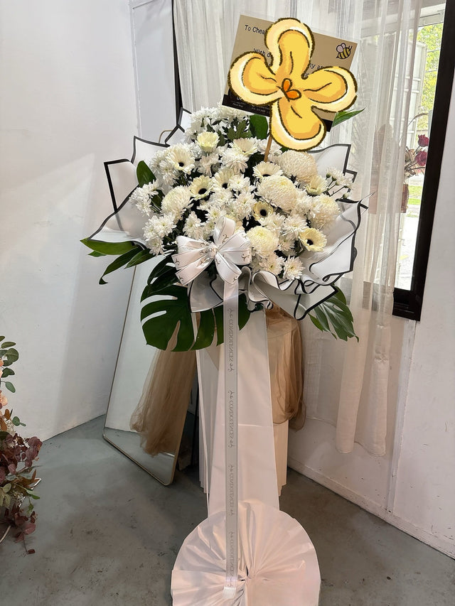 Glossy Philodendron
