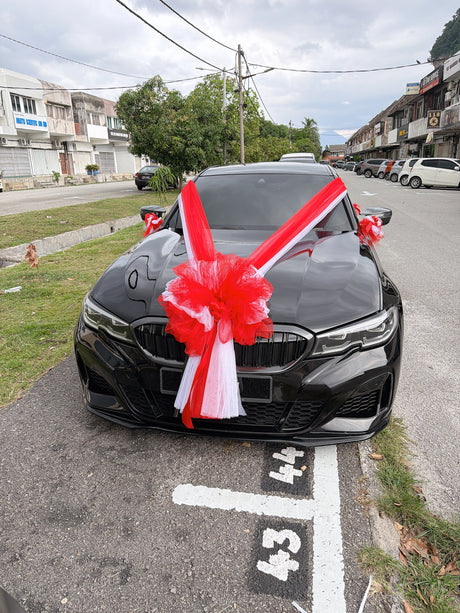 Conjugal Celebration