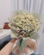 Tanacetum Tuft