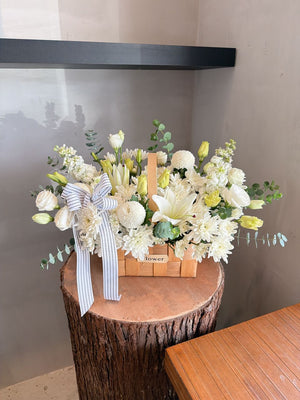 Myrtaceous Twigs