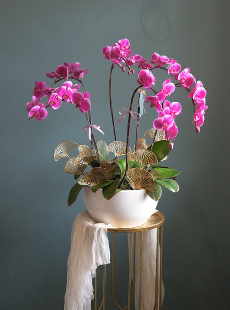 Phalaenopsis - Purple Orchid Pot by Bamboo Green Florist, Penang, photo 8