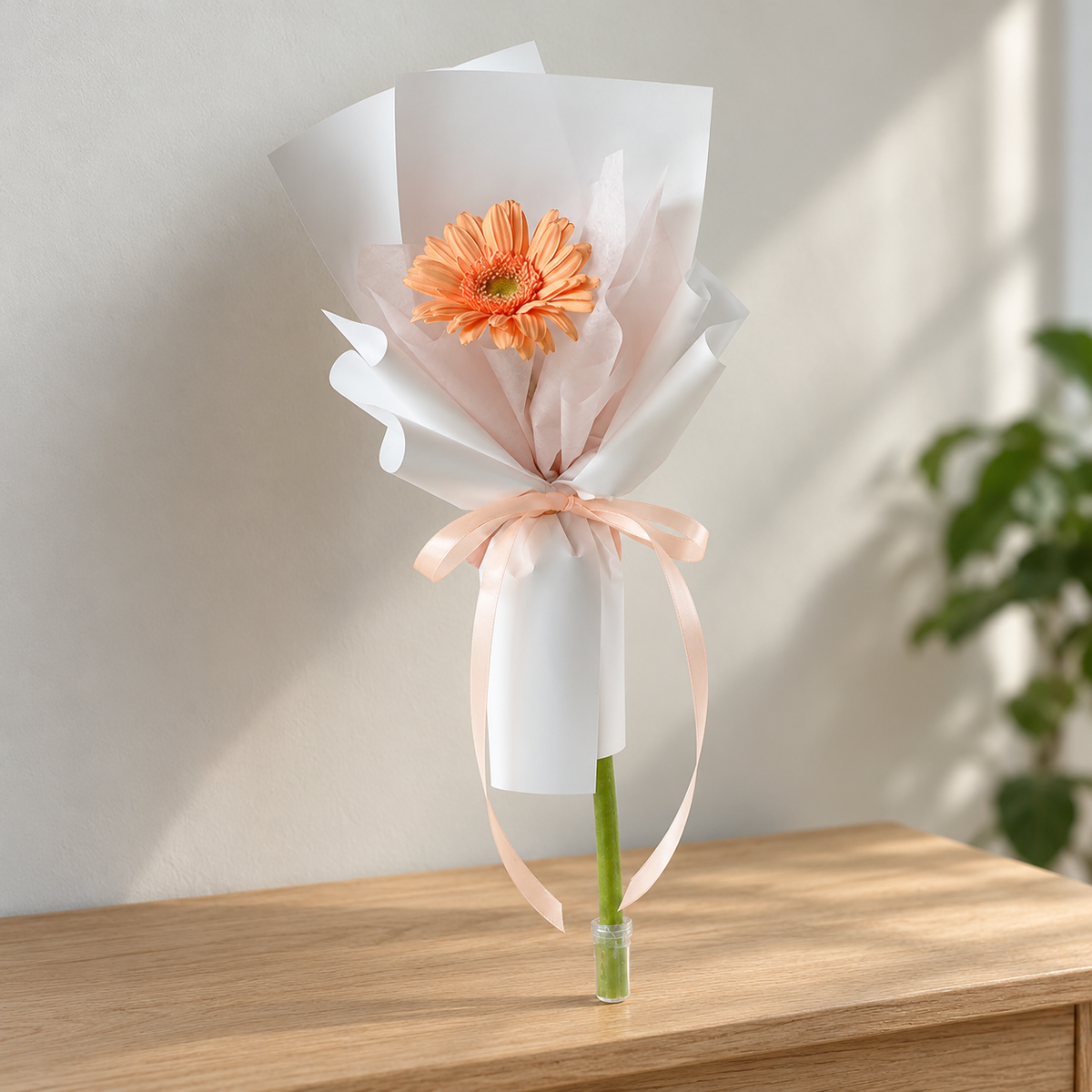 Single Gerbera Bloom — alternate full product photograph in a neutral interior.