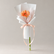 Single Gerbera Bloom — professional studio product photograph.