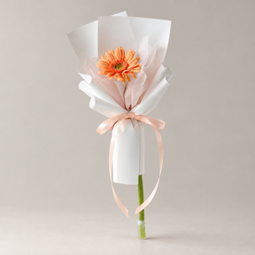 Single Gerbera Bloom — professional studio product photograph.