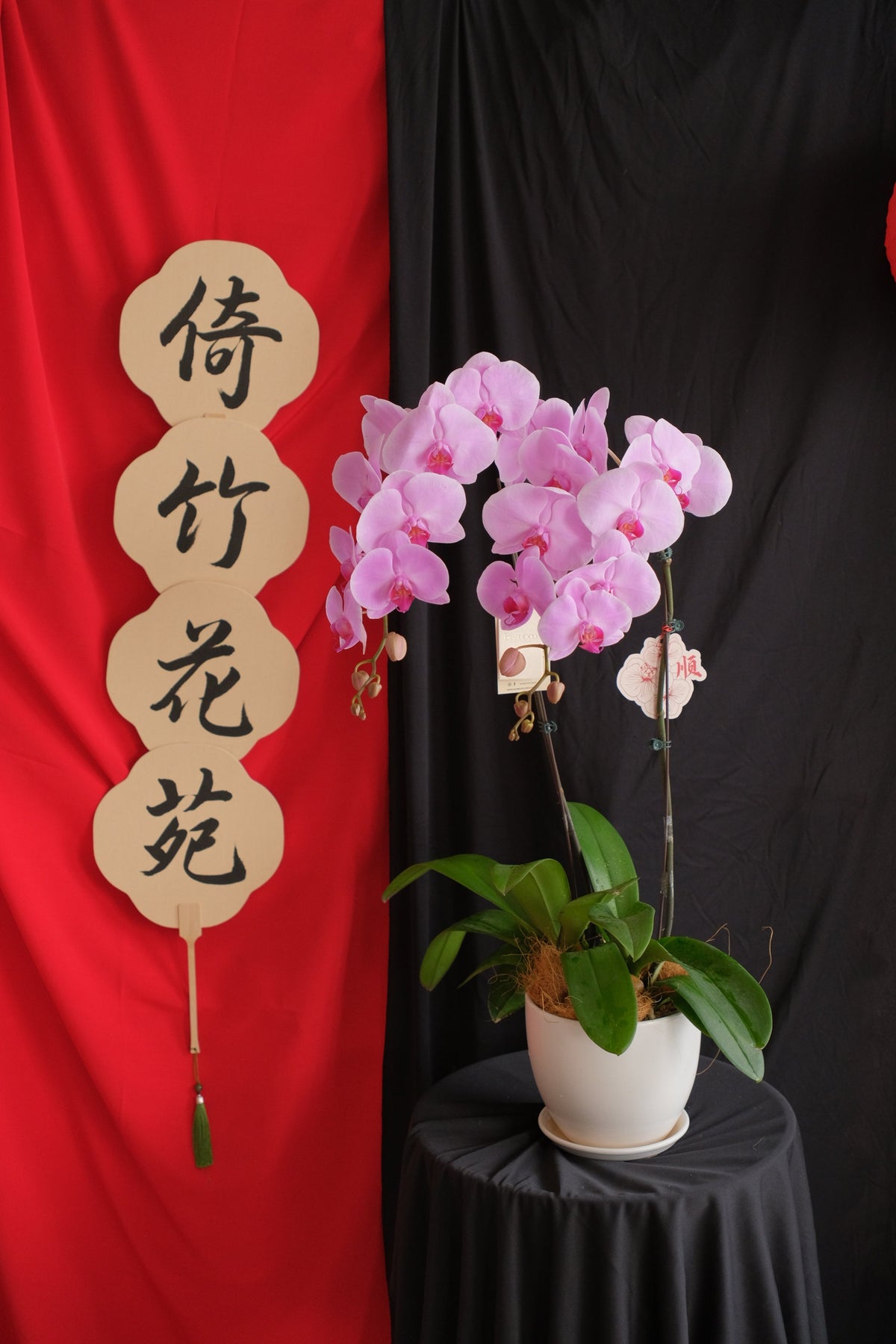 Phalaenopsis Orchids- Light Purple by Bamboo Green Florist, Penang, photo 2
