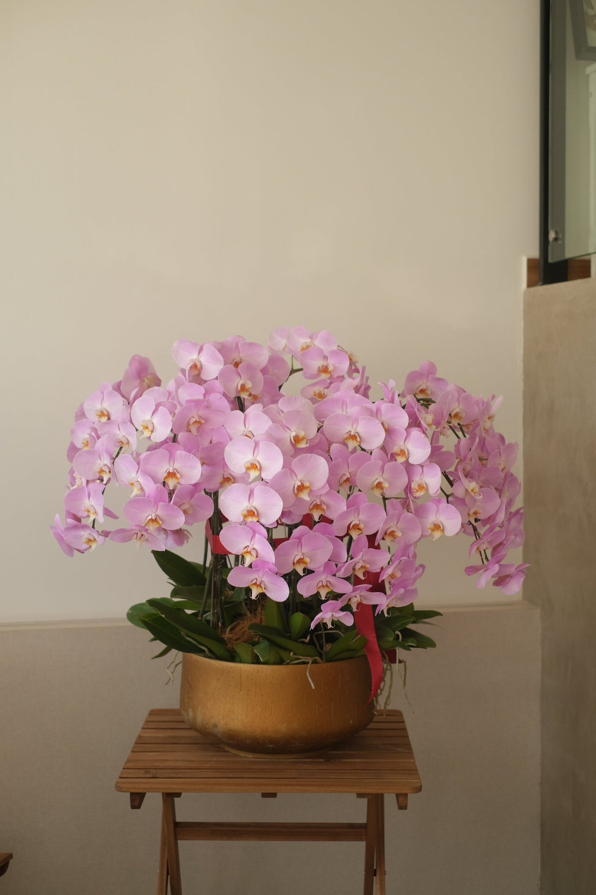 Opulent Phalaenopsis Orchid - Light Purple by Bamboo Green Florist, Penang, photo 6