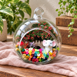 Big Grey Elephant Preserved Flower Terrarium styled in a natural home setting with clear glass and product details