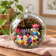 Cartoon Girl Preserved Flower Terrarium styled in a natural home setting with clear glass and product details