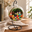 Korean Style Couple Preserved Flower Terrarium styled in a natural home setting with clear glass and product details