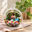 Little Elephant Preserved Flower Terrarium styled in a natural home setting with clear glass and product details