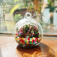Two Little Dolls on Bridge preserved flower terrarium